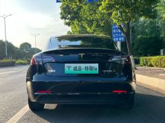 Tesla Model 3 556km Rear-Wheel Drive Edition - photo 4