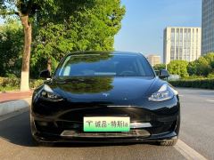 Tesla Model 3 556km Rear-Wheel Drive Edition - photo 8