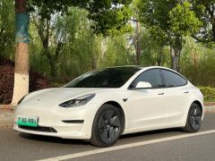 Tesla Model 3 Standard Range Edition - ფოტო 1