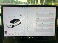 Tesla Model 3 Standard Range Edition - ფოტო 15