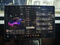 Tesla Model 3 Rear-Wheel Drive - ფოტო 6