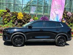 Dongfeng Haoji Mach Power 1.5T Luxury - ფოტო 3