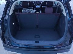 FAW Red Flag HS7 PHEV 2.0T PHEV AWD Flagship Comfort 6-Seater - photo 4