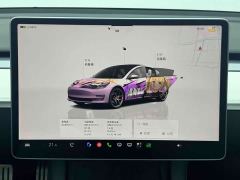 Tesla Model 3 Performance All-Wheel Drive - ფოტო 15