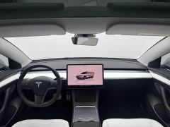 Tesla Model 3 Performance All-Wheel Drive - ფოტო 16