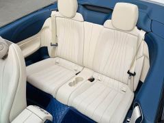 Mercedes-Benz E-Class (Imported) E 260 Cabriolet - ფოტო 8