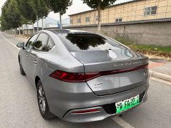 BYD Qin PLUS DM-i Smart Driving Edition 55KM Excellence - photo 4