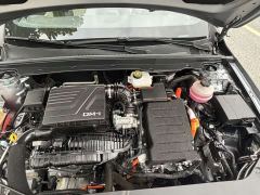BYD Qin PLUS DM-i Smart Driving Edition 55KM Excellence - photo 9