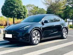 Tesla Model Y Rear-Wheel Drive - ფოტო 1