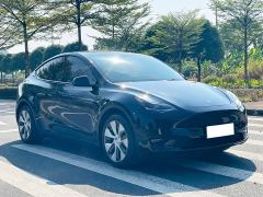 Tesla Model Y Rear-Wheel Drive - ფოტო 3