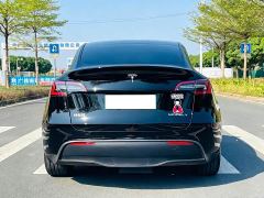 Tesla Model Y Rear-Wheel Drive - ფოტო 6