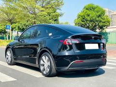 Tesla Model Y Rear-Wheel Drive - ფოტო 7