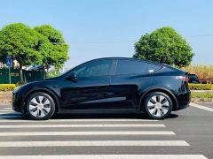 Tesla Model Y Rear-Wheel Drive - ფოტო 8