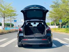 Tesla Model Y Rear-Wheel Drive - ფოტო 9