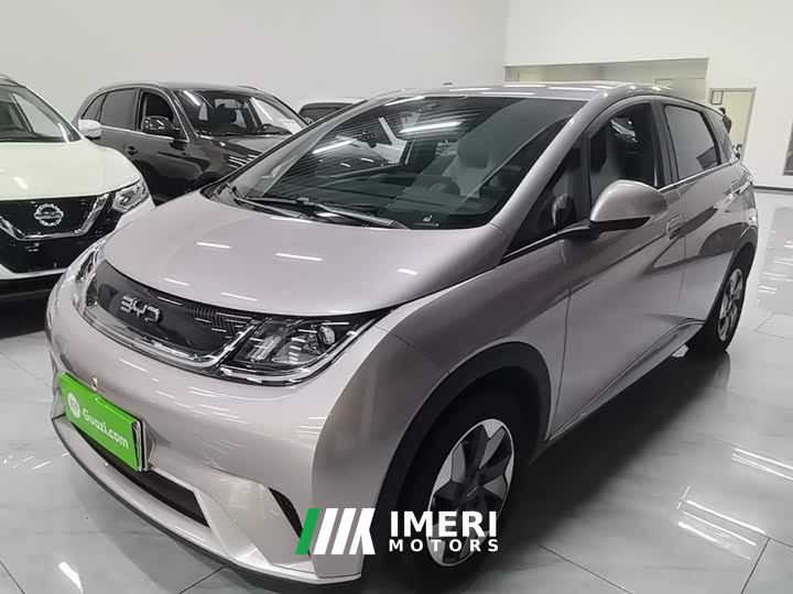 BYD Dolphin Glory Edition 420km Freedom Version - автомобиль из Китая
