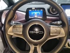 BYD Dolphin Glory Edition 420km Freedom Version - фото 10