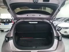 BYD Dolphin Glory Edition 420km Freedom Version - фото 18