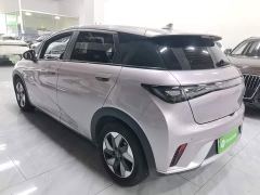 BYD Dolphin Glory Edition 420km Freedom Version - фото 4