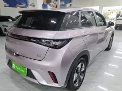 BYD Dolphin Glory Edition 420km Freedom Version - фото 6