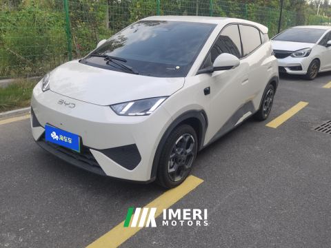 2025 BYD Seagull Smart Driving Edition 405km Flying Edition - car from China