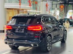 BMW X5 xDrive 30Li Luxury M Sport Package - ფოტო 9