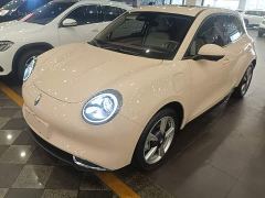 ORA Good Cat 401km Standard Range Deluxe LFP - ფოტო 1