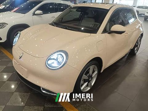 2023 ORA Good Cat 401km Standard Range Deluxe LFP - ავტომობილი ჩინეთიდან