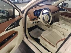 ORA Good Cat 401km Standard Range Deluxe LFP - ფოტო 15