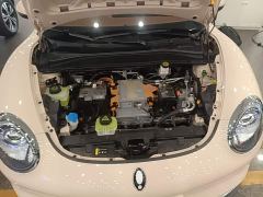 ORA Good Cat 401km Standard Range Deluxe LFP - ფოტო 19