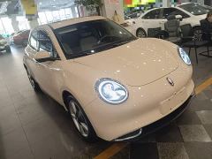 ORA Good Cat 401km Standard Range Deluxe LFP - ფოტო 3