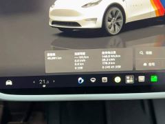 Tesla Model Y Rear-Wheel Drive - ფოტო 2