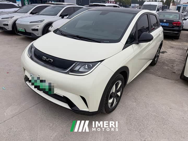 BYD Dolphin Glory Edition 420km Fashion Version - car from China