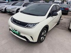 BYD Dolphin Glory Edition 420km Fashion Version - photo 1