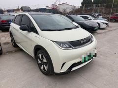 BYD Dolphin Glory Edition 420km Fashion Version - photo 3