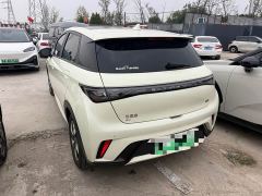 BYD Dolphin Glory Edition 420km Fashion Version - photo 7