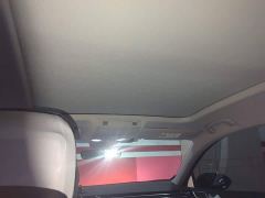 Volkswagen Magotan 2 Million Units Commemorative Edition 330TSI DSG Luxury - фото 14