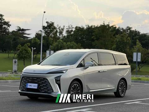 2025 Buick GL8 Luzun Respect Edition - автомобиль из Китая