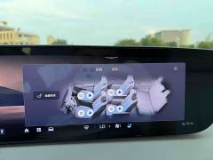 Buick GL8 Luzun Respect Edition - ფოტო 13