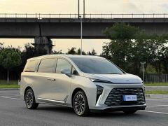 Buick GL8 Luzun Respect Edition - ფოტო 3