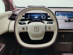 Zeekr X 420km RWD Edition 5-seater - ფოტო 18