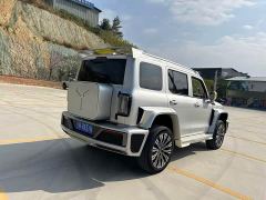 Tank 300 2.0T Frontier Limited Edition - ფოტო 9