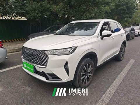 2023 Haval H6 Third Generation 1.5T Automatic Two-Wheel Drive Max - car from China