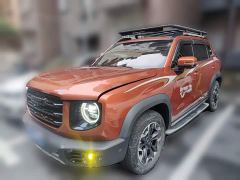 Great Wall Dachshund 2.0T DCT Four-Wheel Drive Howling Celestial Dog Edition - photo 1