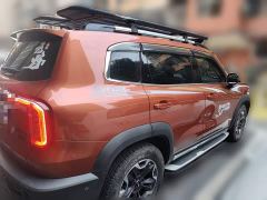 Great Wall Dachshund 2.0T DCT Four-Wheel Drive Howling Celestial Dog Edition - photo 4