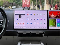 Li Auto L9 Ultra - ფოტო 19