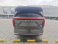 Great Wall WEY Shanshan New Energy Four-Wheel Drive Shanshan 8 - photo 11