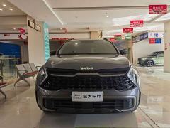 Kia Lion Pibo Tuojie 1.5T Two-Wheel Drive Luxury Edition - фото 2