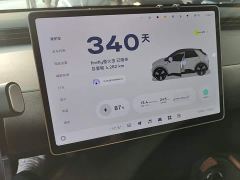 Nio Firefly Luminous Edition - ფოტო 11