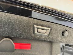 BMW 5 Series Facelift 525Li Luxury Package - ფოტო 10