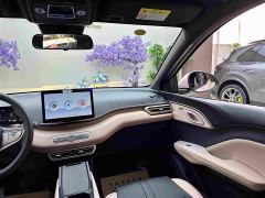 BYD Seagull 305km Vitality Edition - photo 13